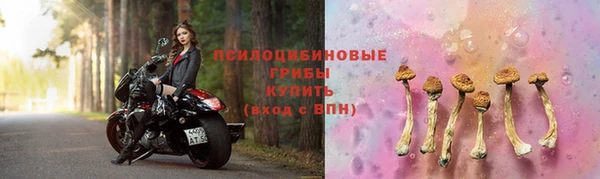 кокаин колумбия Дмитриев