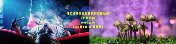 ГАЛЛЮЦИНОГЕННЫЕ ГРИБЫ Арсеньев