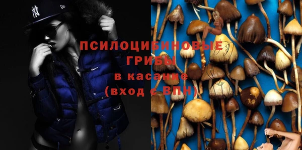 прущие крисы Аркадак