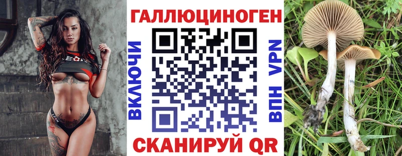 купить закладку  Собинка  Галлюциногенные грибы Psilocybe 